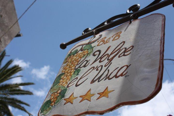 פיאצה ארמרינה La Volpe E L'Uva B&B מראה חיצוני תמונה